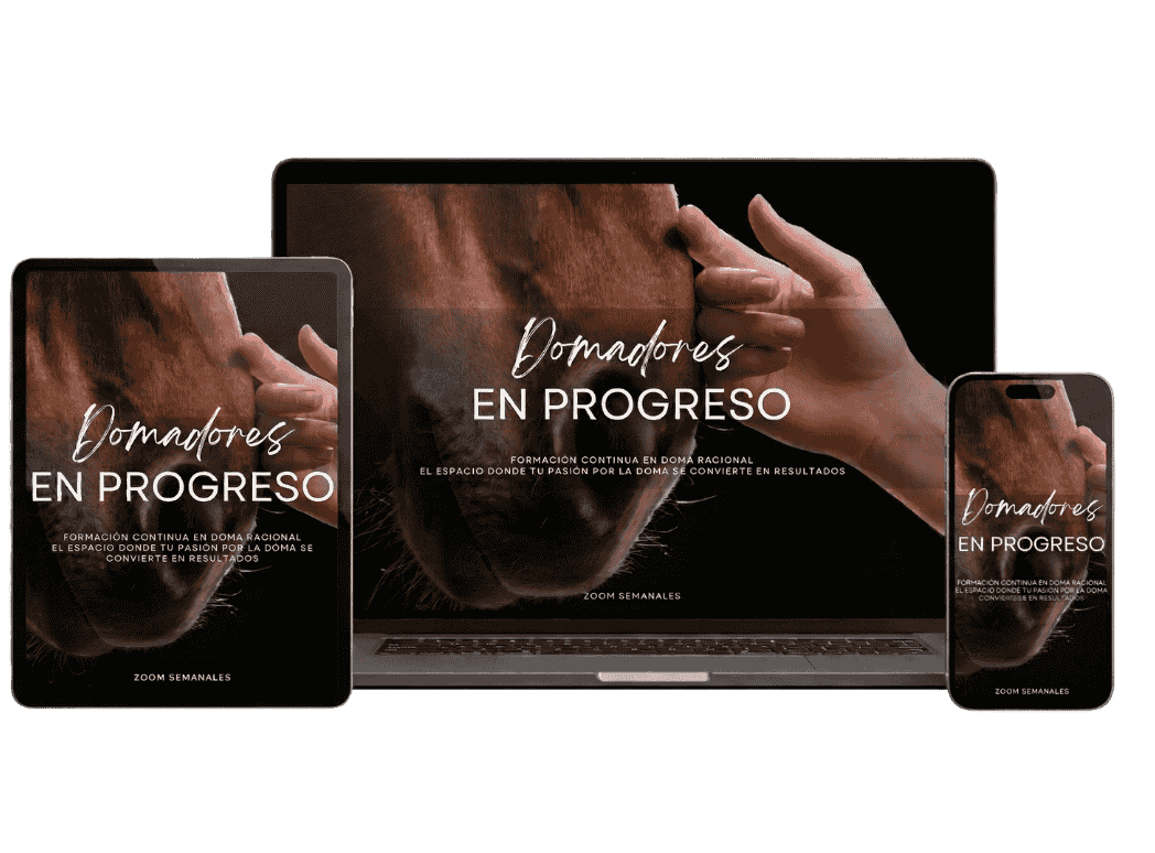 Clases grupales por Zoom con Cristian Catalán