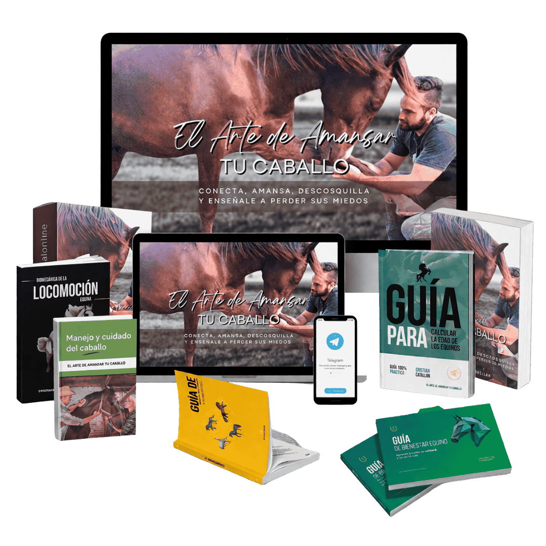 Mockup del ebook y bonos