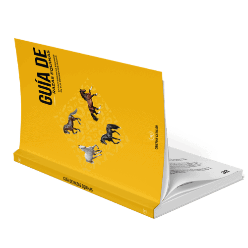 Bono 4 Guía de razas equinas