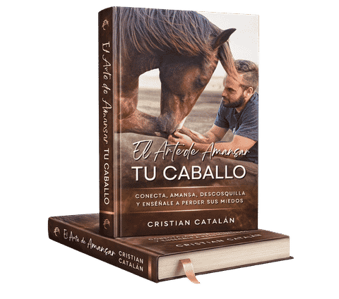 El Arte de Amansar tu Caballo