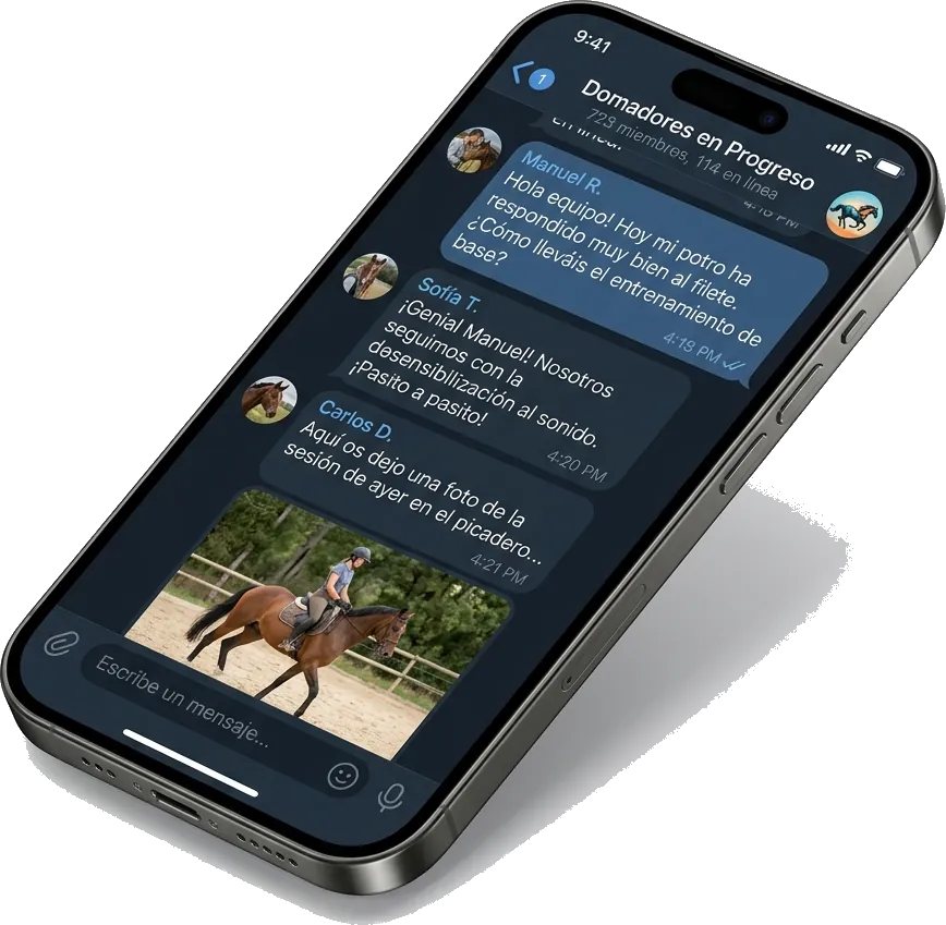 Canal privado de Telegram