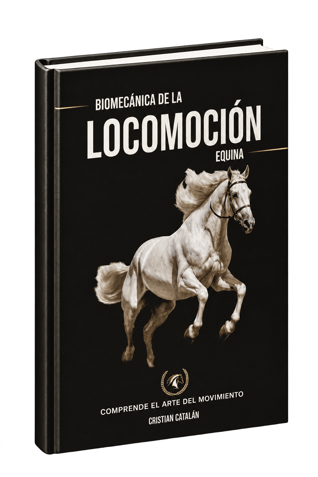 Bono 2 Biomecánica de la locomoción del caballo