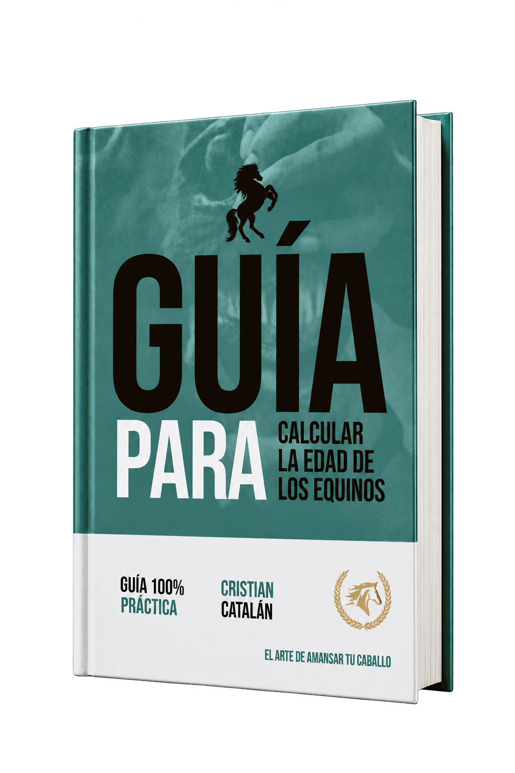 Bono 3 Guía práctica para calcular la edad de los equinos